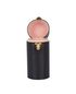 Louis Vuitton Perfume Travel Case, other view